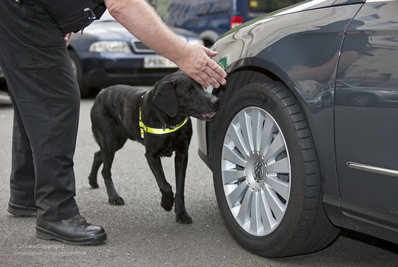 can cops search your car with a dog